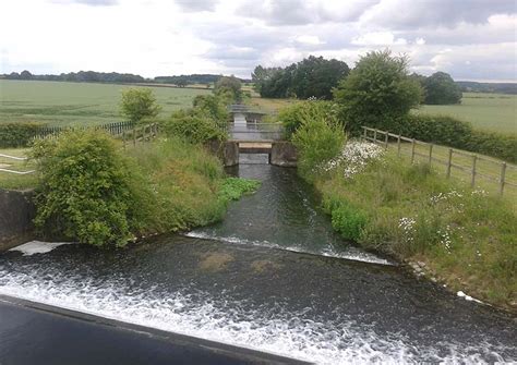 river lynn swap|Water Transfers .